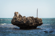 IMG_4542c