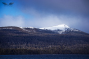 IMG_5441c