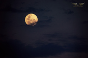 IMG_6733c