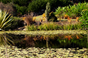 IMG_7141cc