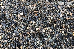 IMG_0505c
