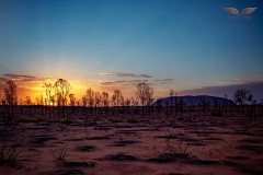 IMG_6791c