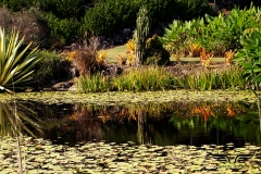 IMG_7141cc