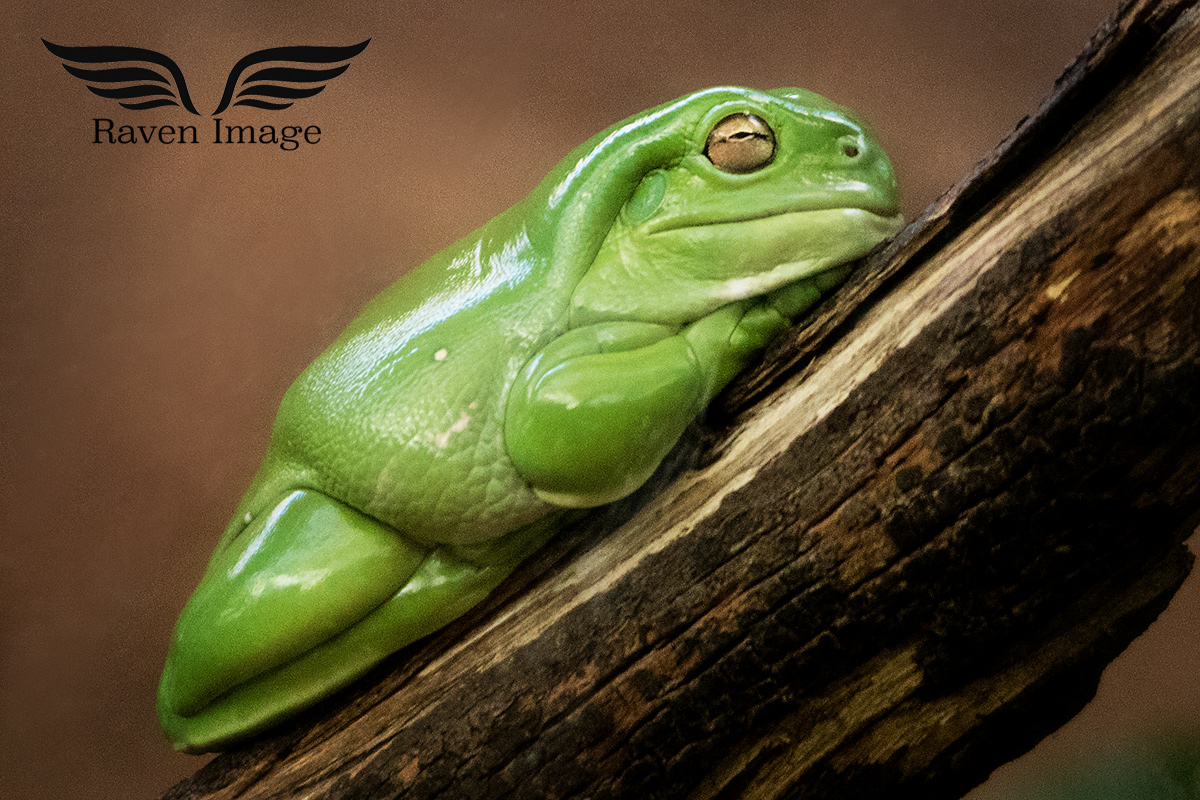 Feeling A Bit Green
