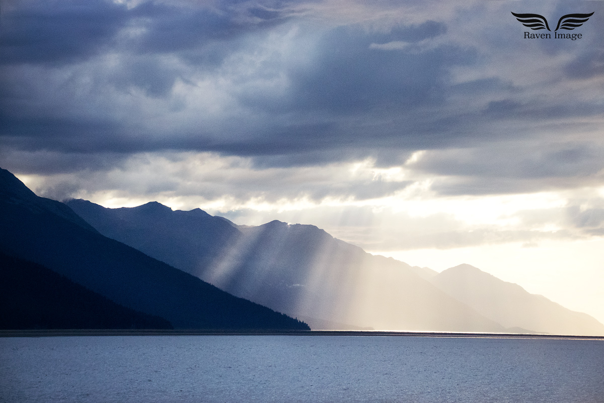 I See The Light